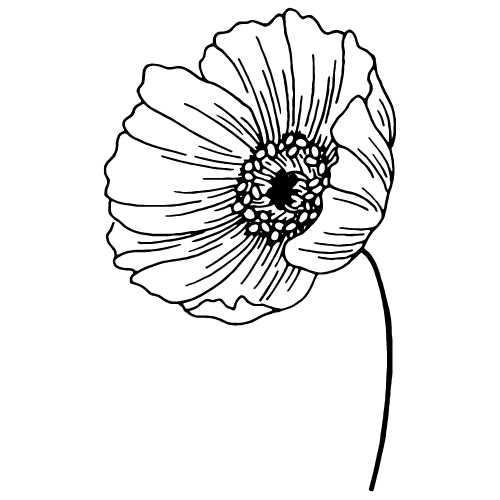 Flower_Notion